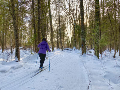 Ski Trail