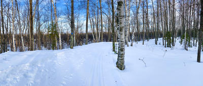 winter trail