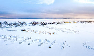 drone marina pic